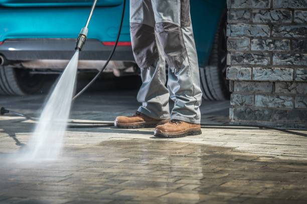 Best Sidewalk and Walkway Cleaning  in Carson, WA