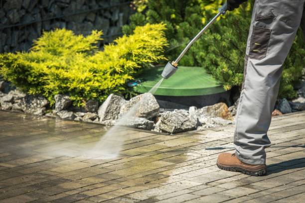 Best Building Exterior Washing  in Carson, WA
