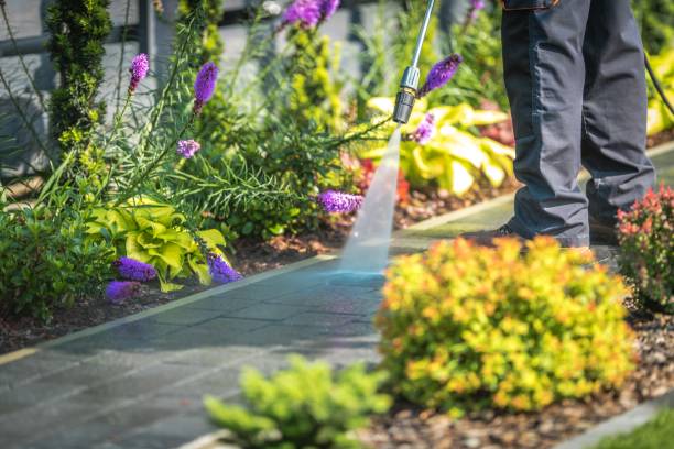 Best Soft Washing  in Carson, WA