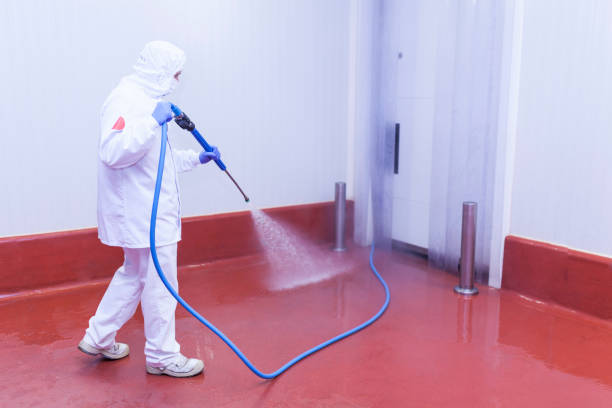Best Patio and Deck Pressure Washing  in Carson, WA