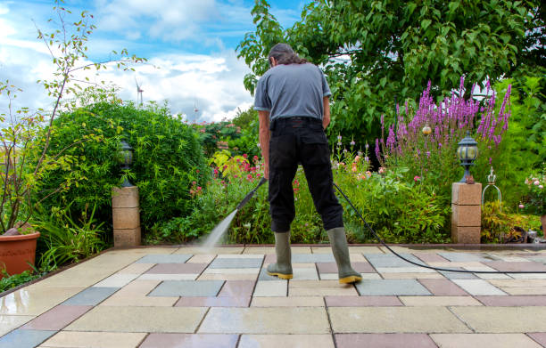 Best Spring Cleaning  in Carson, WA