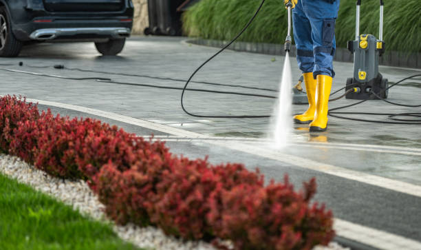Best Warehouse Cleaning  in Carson, WA